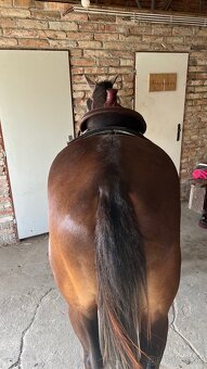 Westernove sedlo Dakota Roper 16’’ - 2