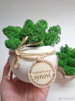 Kvetinač s prírodným machom - 2