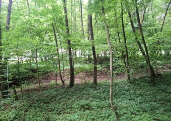 Predám pozemok v Antonstáli - 2