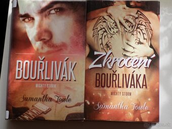 Romantika - Renshaw,Ward,Chase,Towle,Whitney G. a iný - 2