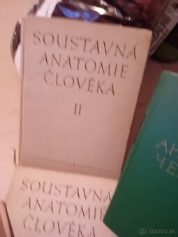 Anatomia - 2
