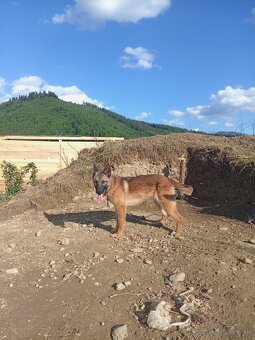 Dohoda - 2