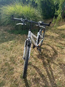 Predam bicykle (damsky, juniorsky) - 2