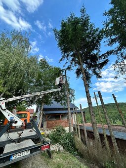 🌳 Orez stromov, výrub stromov, kosenie, odvoz dreva 🌿 - 2
