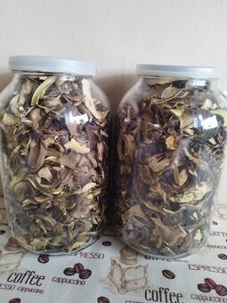 Predám sušené hriby - 2