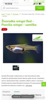 Darujem živorodka - 2