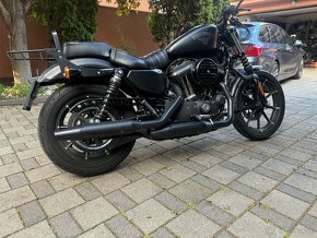 Harley Davidson 883 Iron  r. 2017 -8019 km - 2