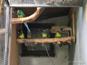 Barnard limcovy južný - 2