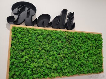 MACHOVY OBRAZ 3D NÁPIS - 2