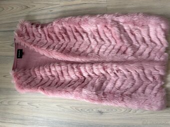 Vesta stradivarius - 2