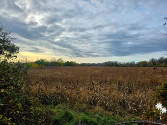 Investičný pozemok Moravany nad Váhom - 2