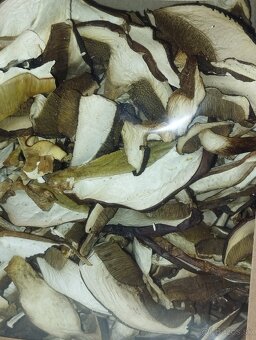 Sušené  lesné  hriby - 2