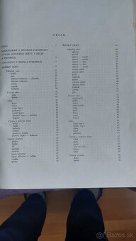 Ludovy odev v Helpe a v Pohorelej - 2