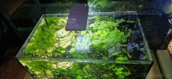 Akvárium 45l - 2