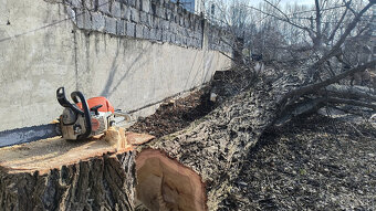 Orez a výrub stromov - 2