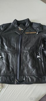 Harley Davidson bunda nova - 2