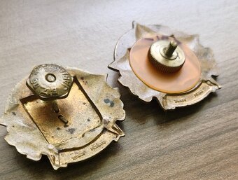 Odznaky- pohraničná stráž - 2