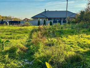 13 ÁROVÝ POZEMOK PRI KOMÁRNE S VÝHĽADOM NA JAZIERKO - 2