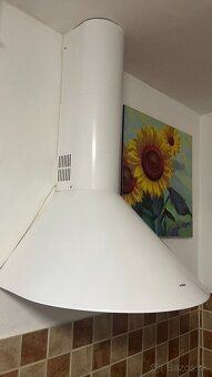 Komínový digestor biely mora - 2