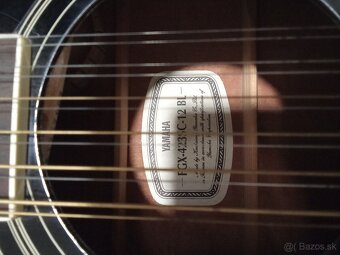 12 strunové gitara - 2