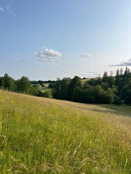 Predám pozemok 8 100 m² – Horná Mičiná - 2