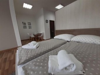 Voľný od 01.07. Krásny priestranný byt/apartmán - 2