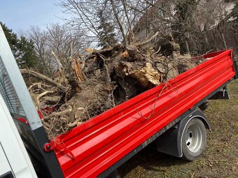 Odvoz odpadu / vypratávanie / Búranie - 2