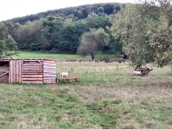 Predaj-Pozemok-farmárska usadlosť-Horné Plachtince okr. VK - 2