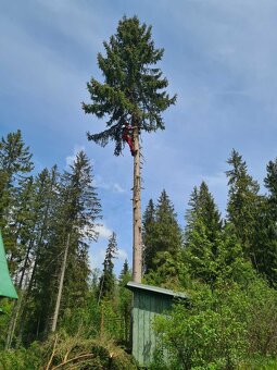 Orazávanie a výrub stromov - 2