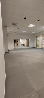 PRIESTOR 55 m2 na obchod, služby, Sereď centrum - 2