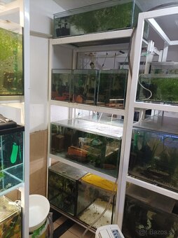 Predám stojky s akvariami - 2