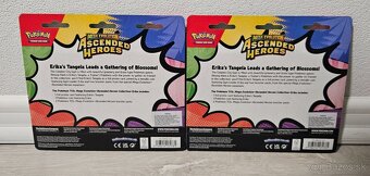 Pokemon tcg ascended heroes collection - 2