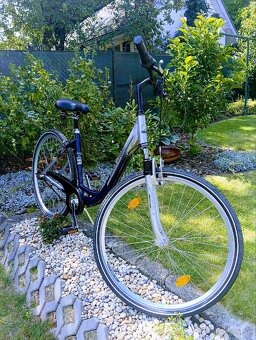 Bicykel Phill Roggers - 2