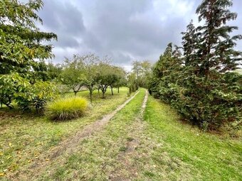 Na predaj rodinný dom na samote s 27 ár pozemkom 3 km od NZ - 2
