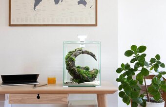 AquaEl Shrimp Smart akvarijný set 30l čierny - 2