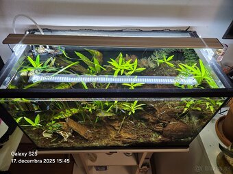 60l akvárium - 2