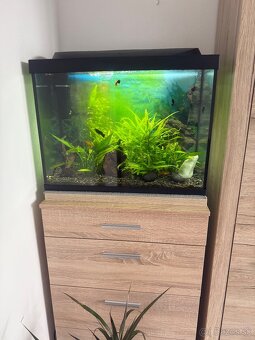 Akvárium 60x45 - 2