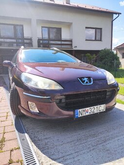 Peugeot 407 SW - 2