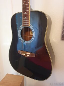 Ibanez PF60 Performance - 2