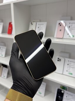ZÁRUKA 2 ROKY / Apple iPhone 13 Pro 128GB Gold, 100% - 2
