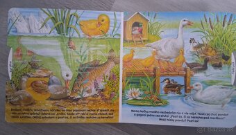 Kde sa skryli myška a kacatko - 2