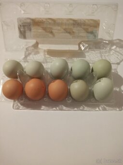 Čerstvé domáce vajíčka - 2