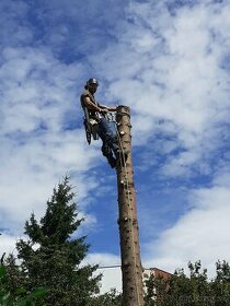 Výrub stromov, pílenie stromov, orez stromov, arboristika - 2