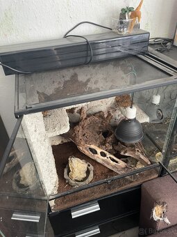 Terárium RP 60x60x45 - 2