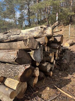 Predám palivové drevo - 2