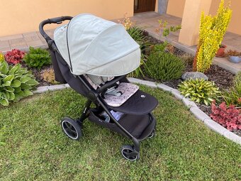 PETITE MARS Royal 3 - 2025 - 2