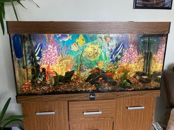 Akvarium komplet so skrinkou a prislusenstvom - 2