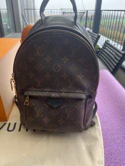 Louis Vuitton Palm Springs PM Backpack - 2