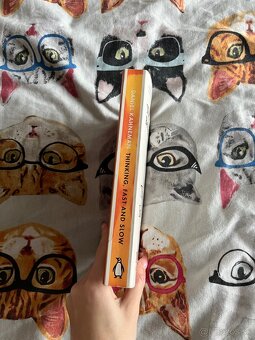 Kniha thinking fast and slow - 2