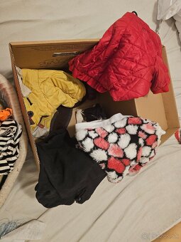 Výbava pre malého psa - 2